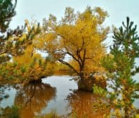 ваньковское водохранилище