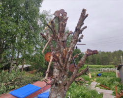 Марафон-тур по Белому морю